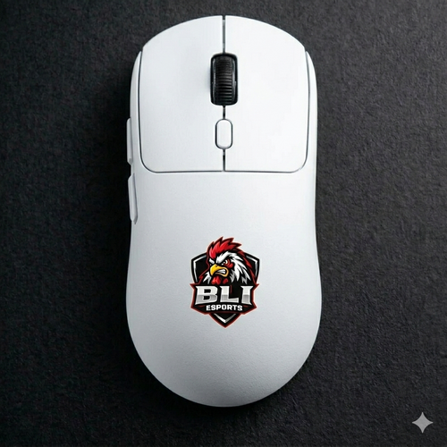 BLI V1 PRO