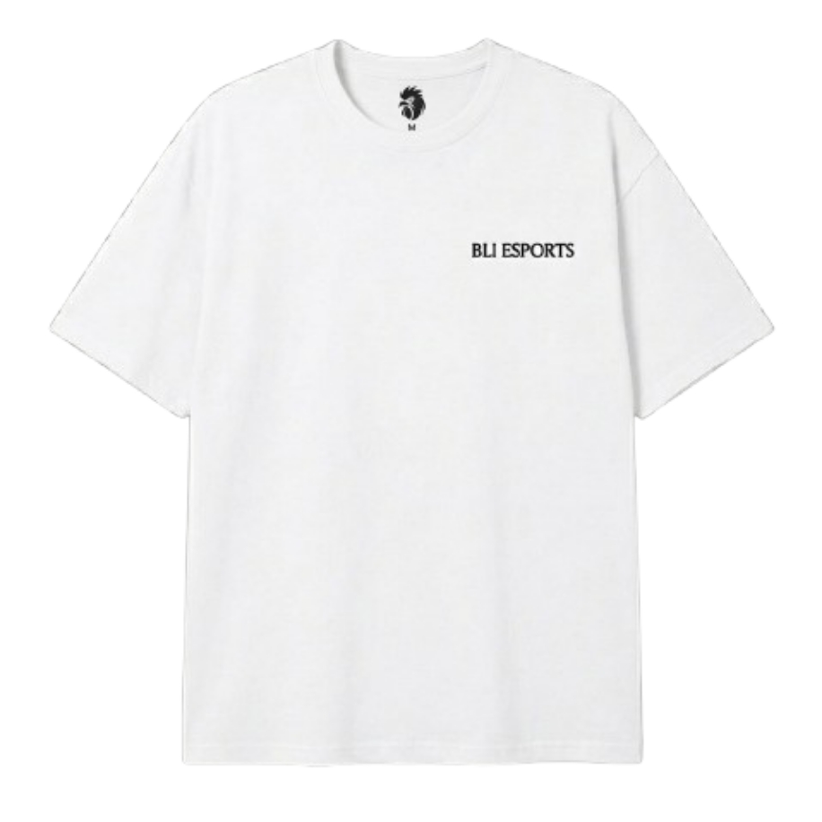 BLI BASIC OVERSIZE TSHIRT
